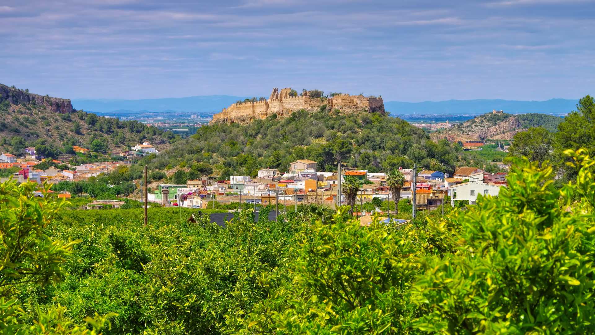 Naranja Valenciana de Corbera